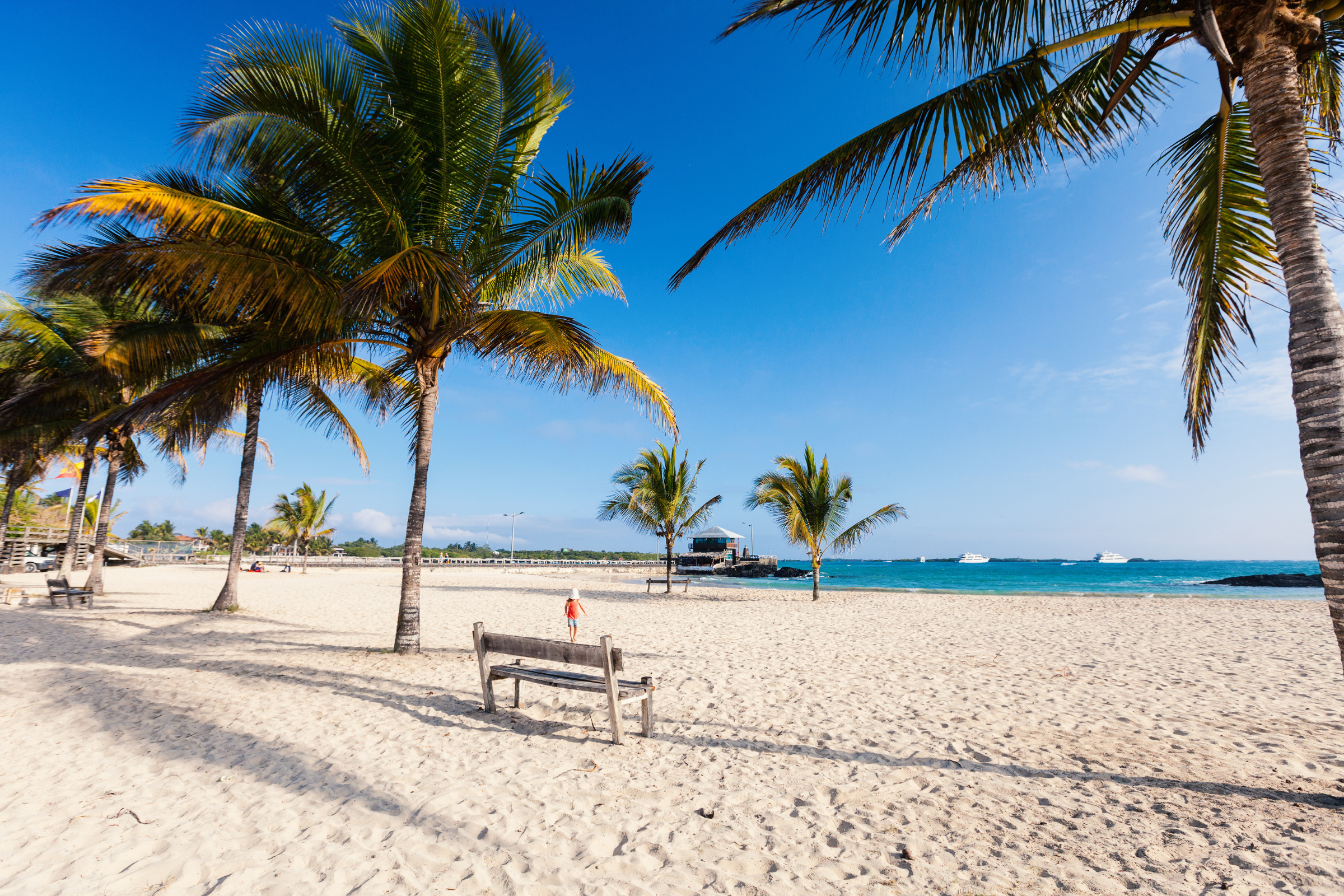 divilacan bay.webp
